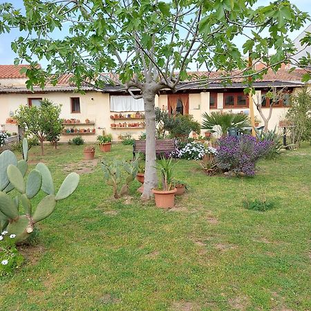 Garden Rooms Olbia Exterior photo